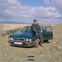 Виниловая пластинка NAAR / SAFAR (2LP)
